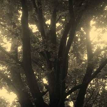 Inner Suffering (UKR) : Insignificance